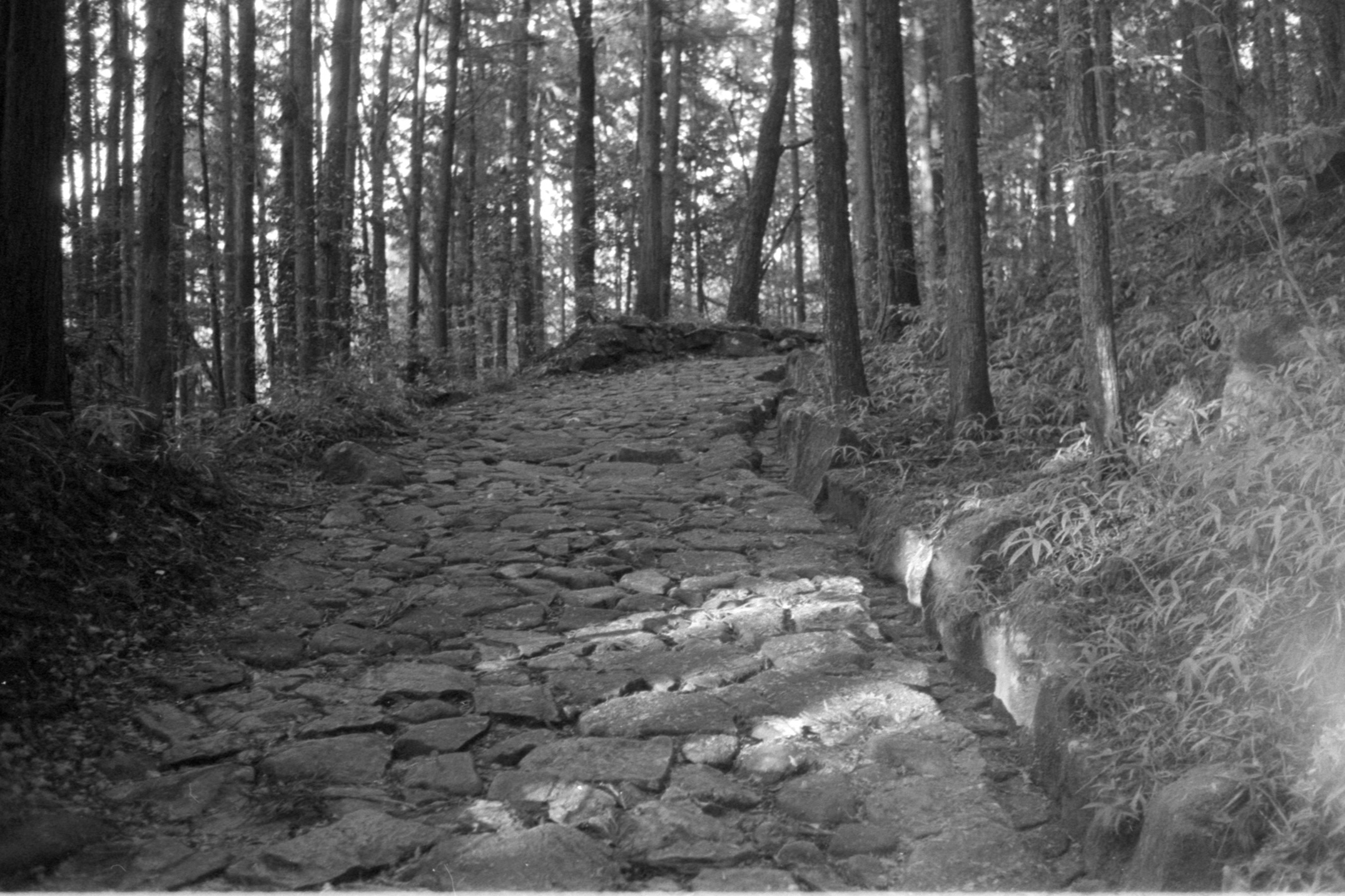 Path